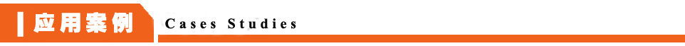 成功案例